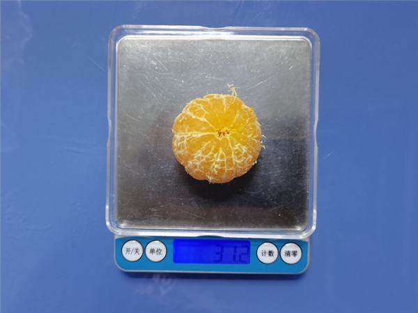 大砂糖橘30克左右（直径约4.5cm）。图片来源：作者提供