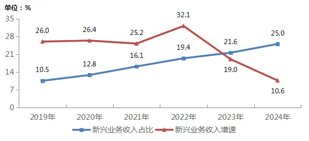 ▲ 2019—2024 年新兴业务收入发展情况