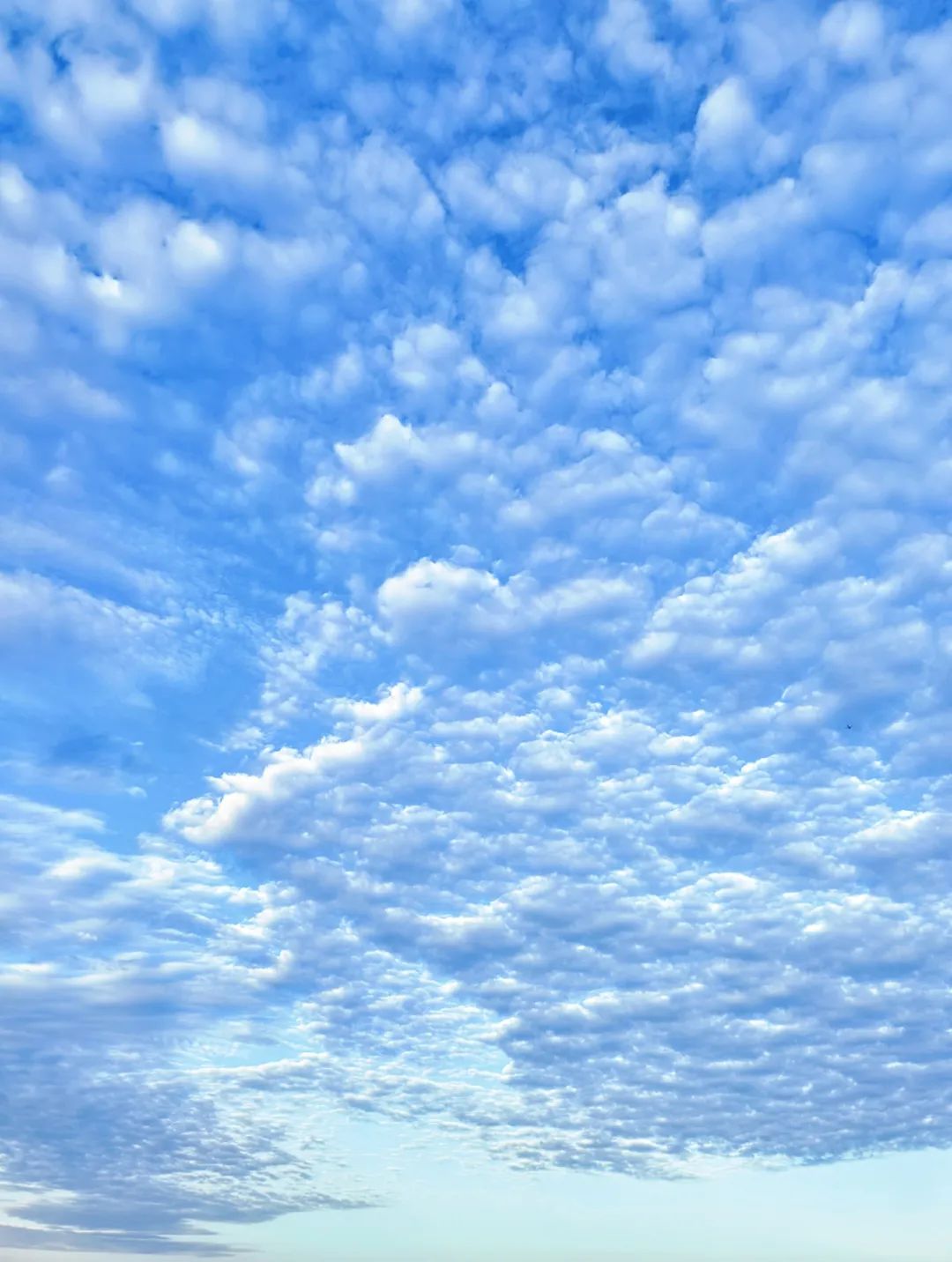 这是肇庆今天的蓝天白云🤩🤩🤩网友大赞:美得不像话!