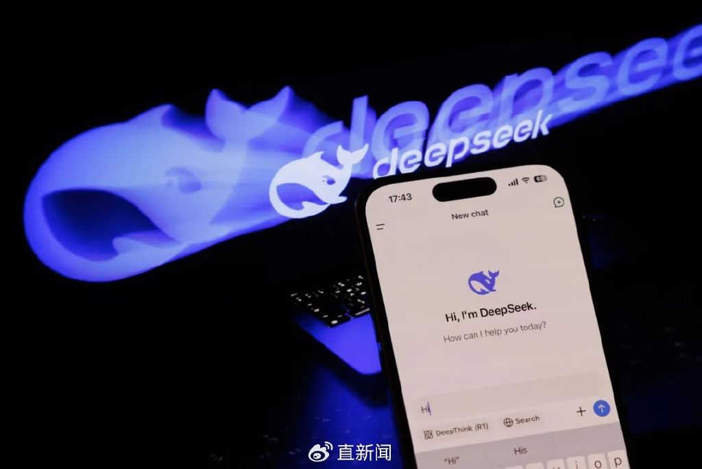 吴蔚：在DeepSeek上检索自己，答案惊到我了|吴蔚|开源|评论员_新浪新闻