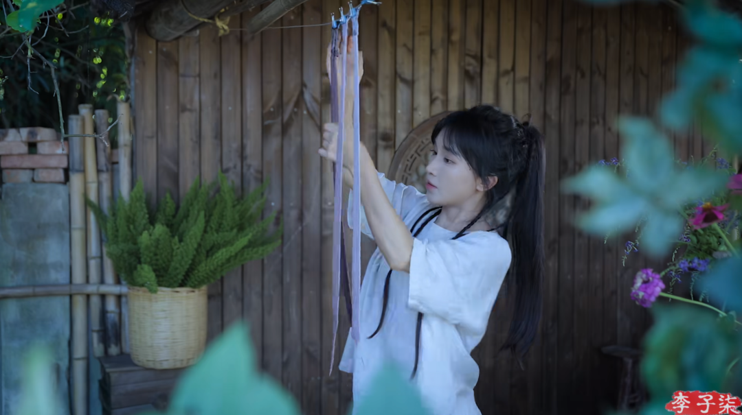 图自李子柒11月13日发布视频截图