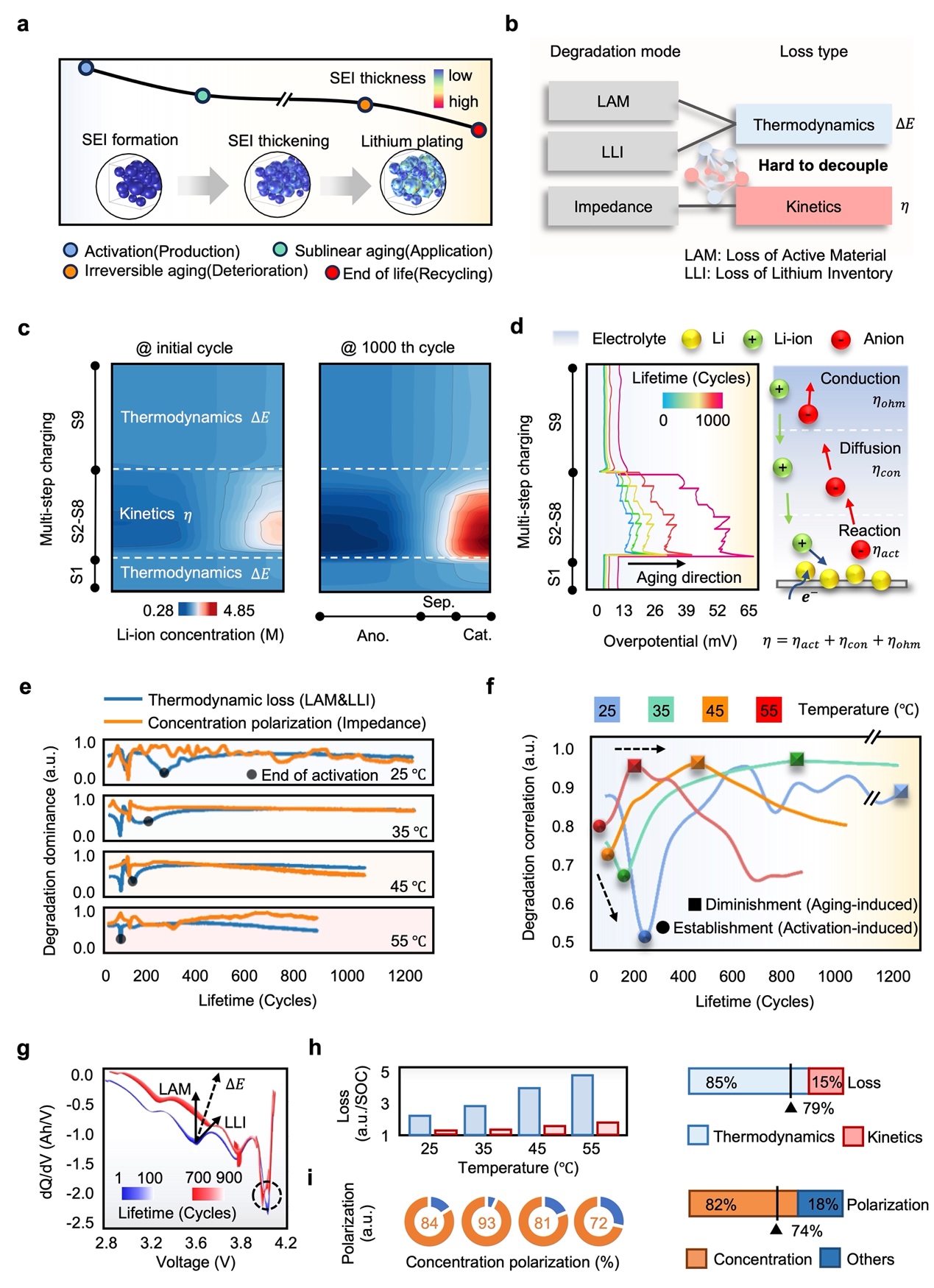 图6.物理信息学习模型的电化学原理分析