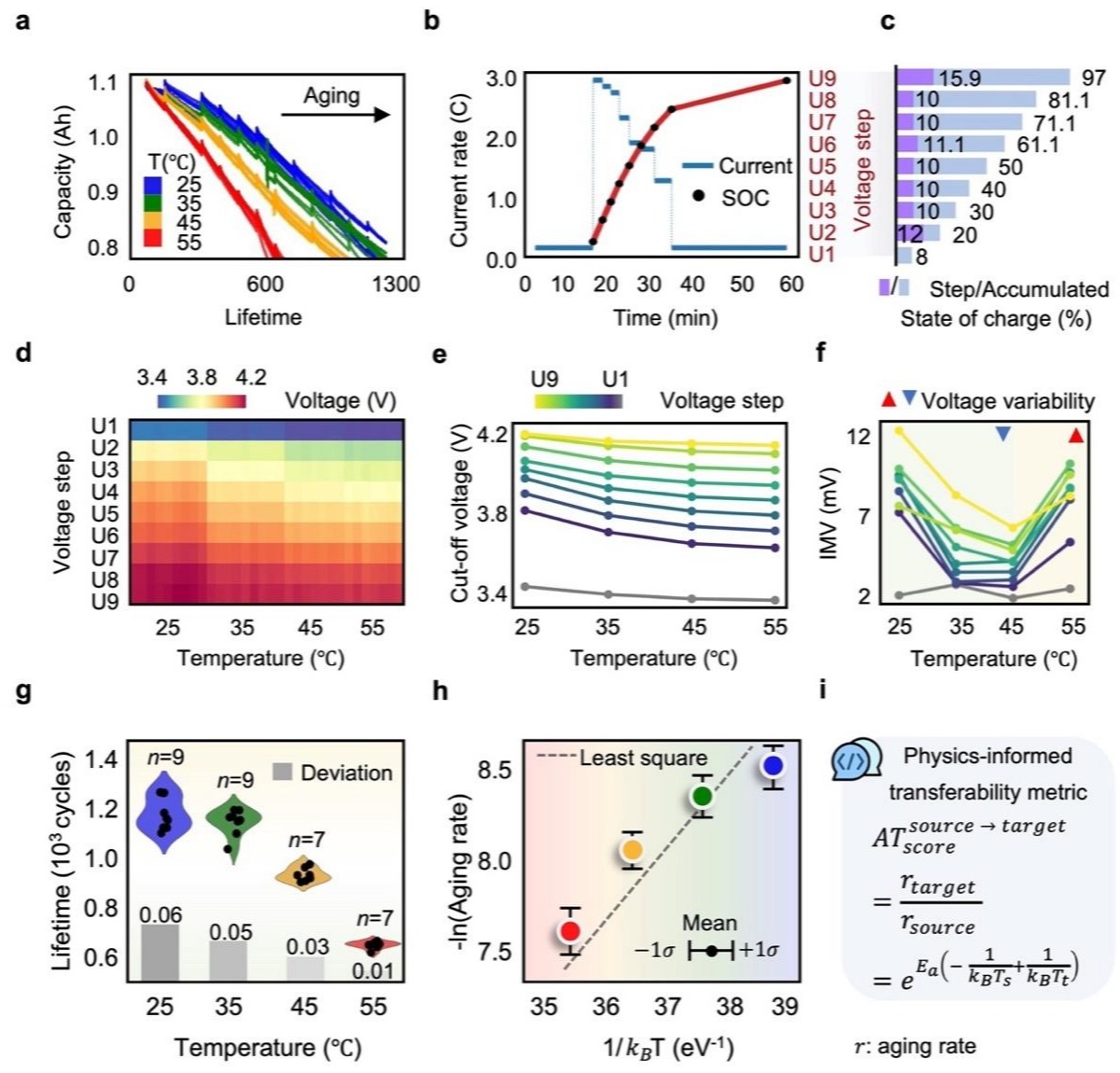 图3.原始数据集信息及可视化