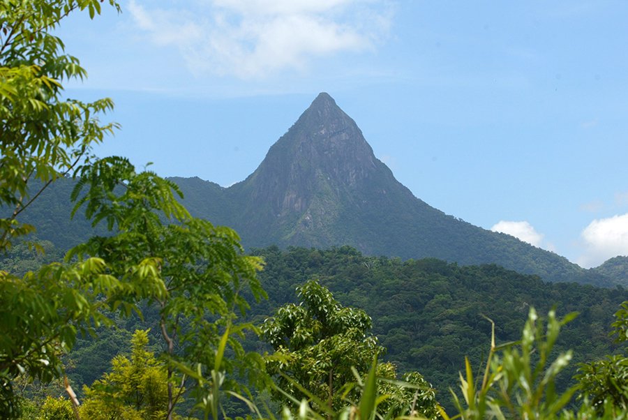 尖峰岭国家级自然保护区。海南日报记者 王凯 摄