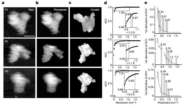图丨从原子力显微镜图像中提取的 RNA 结构（来源：Nature）