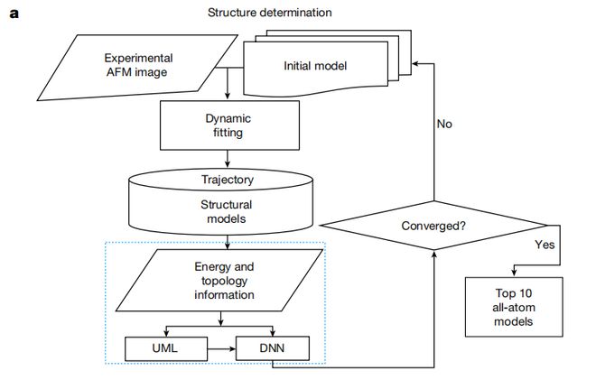 图丨 HORNET 的整体工作流程（来源：Nature）