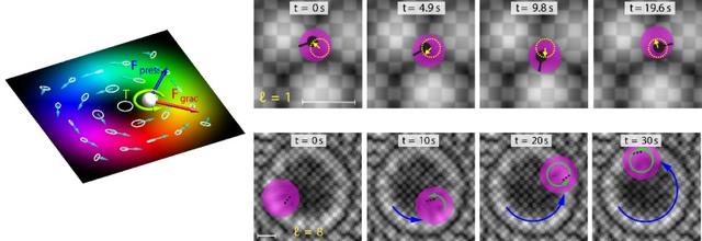 图2：拓扑结构水波粒子操控实验：可实现对悬浮粒子的捕获、轨道和自旋运动，甚至可驱动乒乓球做轨道运动。