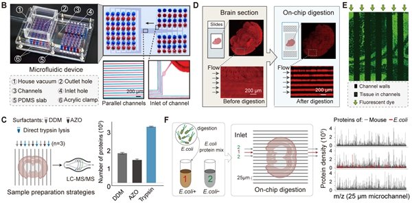 ▲ PLATO 的微流控芯片装置图和原位采样结果