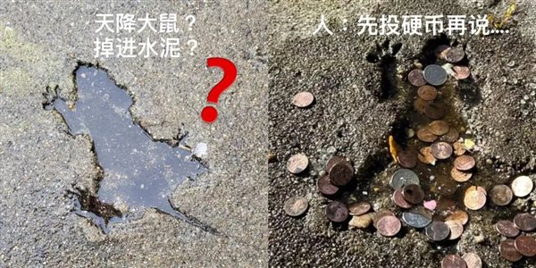 图源网络我们能从图片中清晰地看出这只“老鼠”的形态，包括鼻子，爪子和尾巴，在地面留下了一个不算小的深坑。