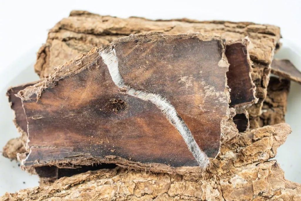 图源：视觉中国