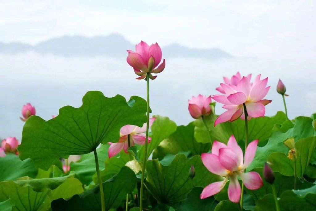 图源：视觉中国