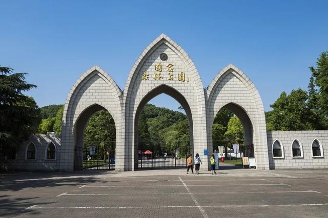 上海之根·根在松江_新浪财经_新浪网