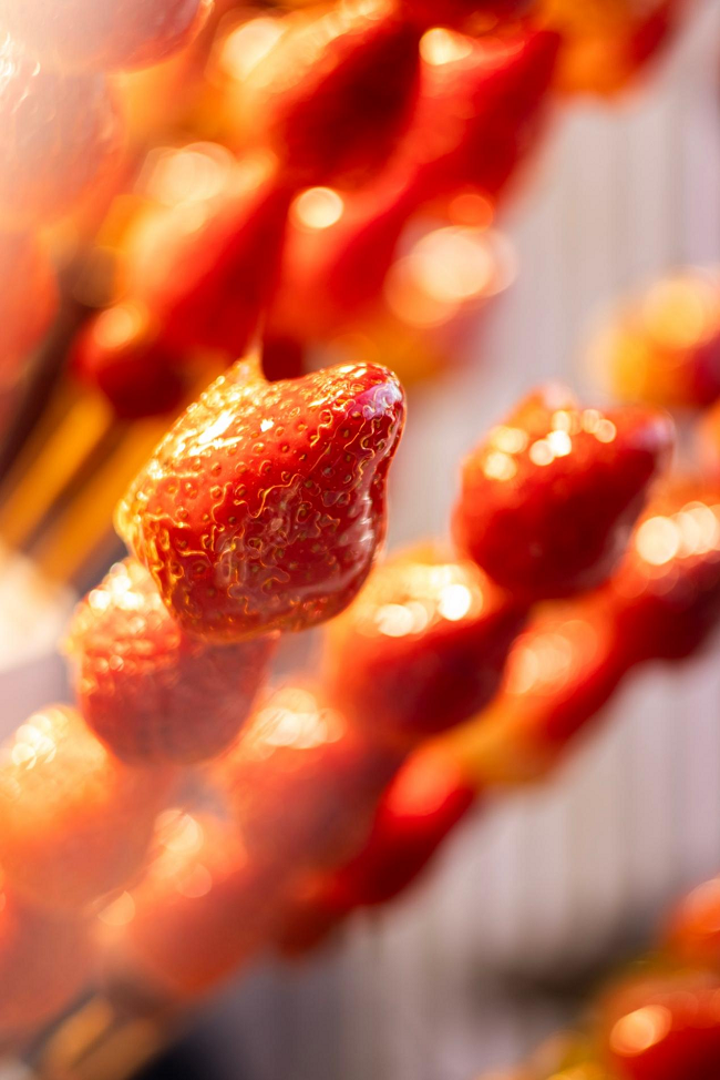 佳能EOS R100 + RF 50mm f/1.8 STM拍摄