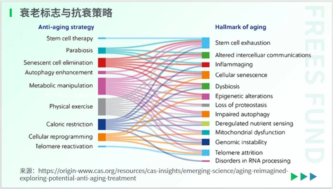 女性抗衰老吃什么保健品 女人最好的抗衰老保健品