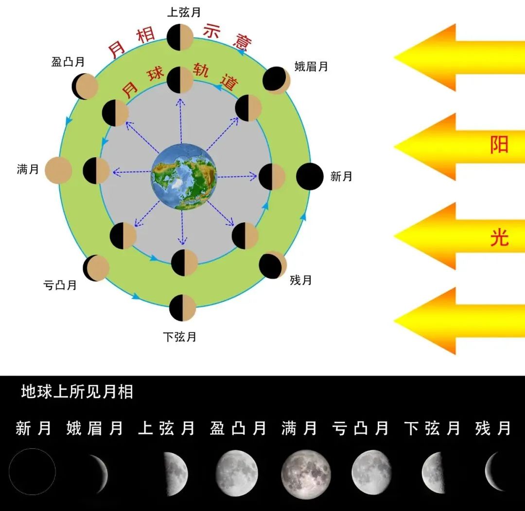 月相的周期变化01不过,俗话说"十五的月亮十六圆",为何今年是"十五的