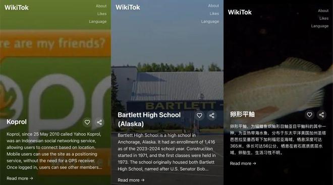 这清晰度仿佛穿越回 ADSL 时代｜图源：WikiTok