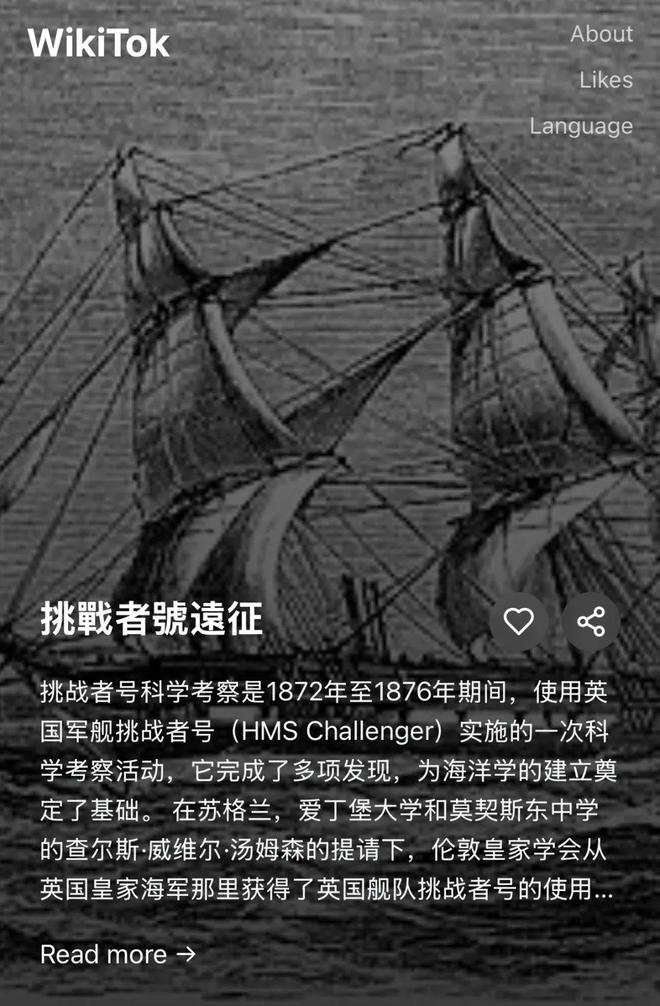 随机出现的维基百科页面｜图片来源：WikiTok