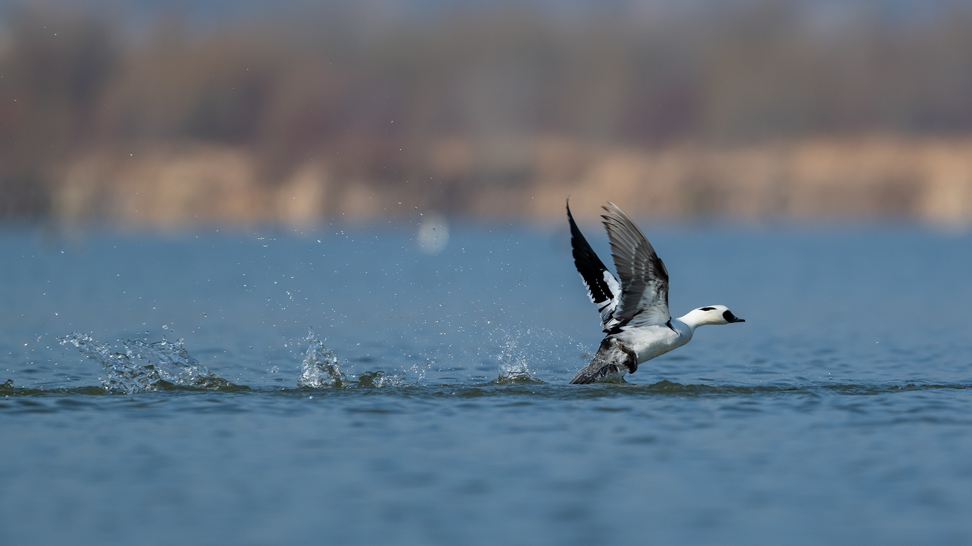 后期二次构图后的照片