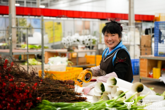 ▲“花颜悦色”仓库里，花材经过多道工序挑选处理后，将飞向全国各地。闵杉/摄