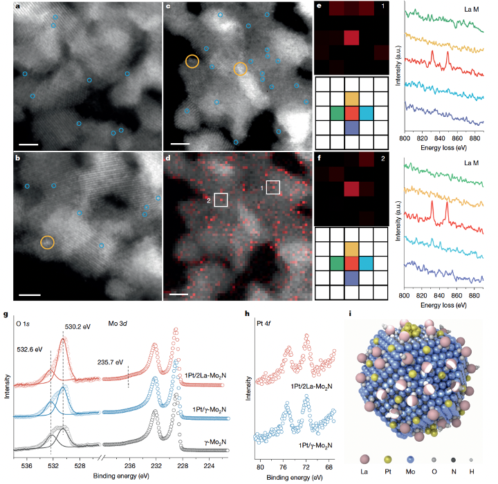图1. Pt/γ-Mo2N和Pt/La-Mo2N催化剂的结构表征。