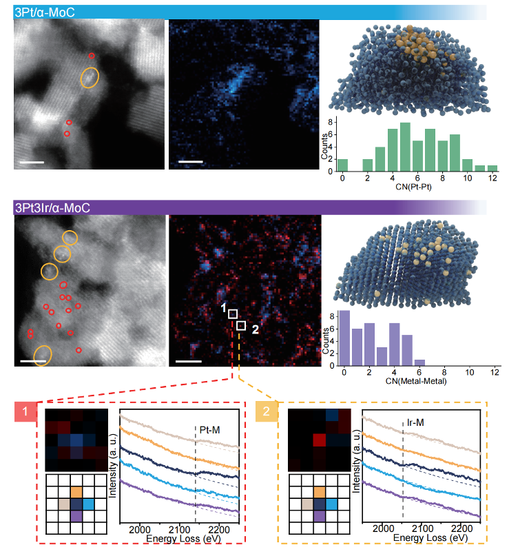 图1. PtIr/α-MoC催化剂的结构分析