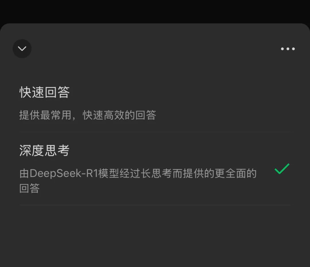 共有两个模型选项，其中第二个才是由 DeepSeek R1 驱动的版本 | 图片来源：极客公园