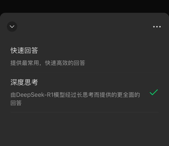 共有两个模型选项，其中第二个才是由 DeepSeek R1 驱动的版本 | 图片来源：极客公园