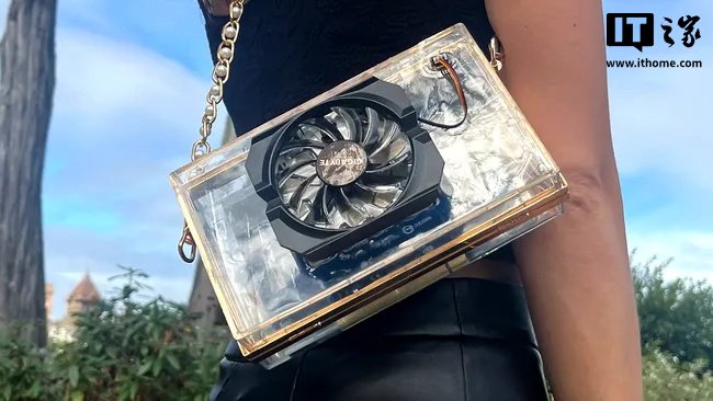 Nvidia GeForce GT 730 显卡手袋