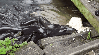 图源：NZTODAY RV Lifestyle