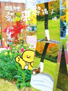 温暖“抱抱树”疗愈新方法|成都市_新浪财经_新浪网