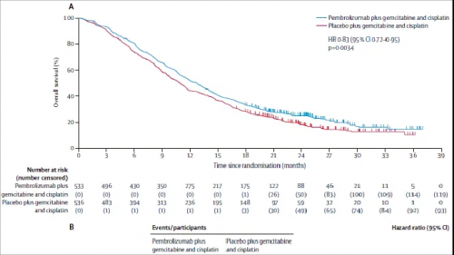 △ KEYNOTE-966研究OS数据。