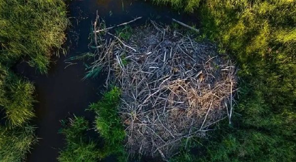 图源：捷克自然保护局