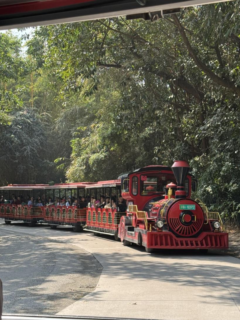 广州长隆野生动物世界的小火车