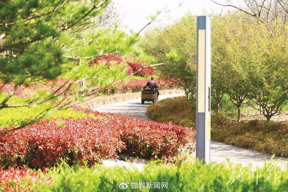 美在邯郸|肥乡区东风渠: 幸福河湖水润肥乡