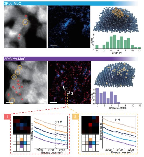 ▲ PtIr/α-MoC 催化剂的结构分析