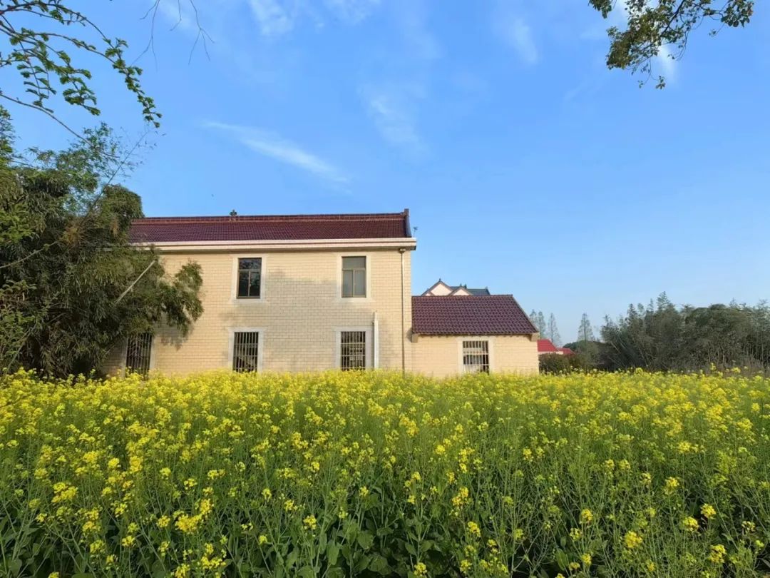 复盘历史，寻找美股牛熊更替背后的逻辑