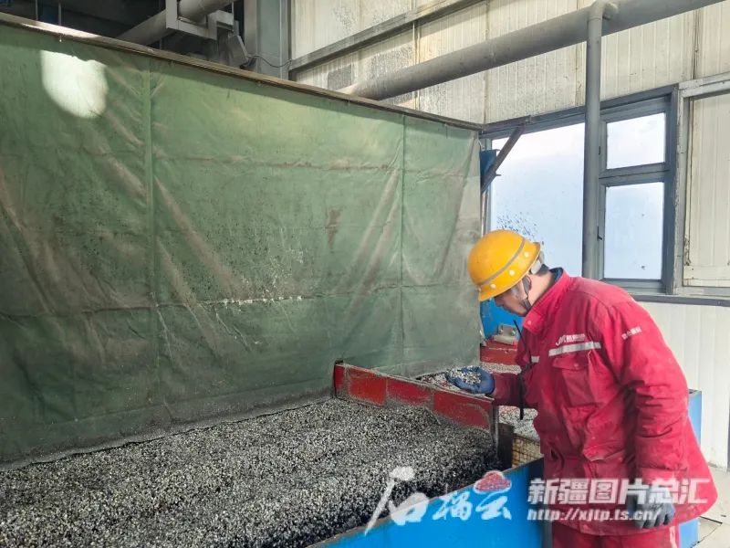 在选矿试验线,操作工王彦虎仔细观察筛子的振幅、频率。石榴云/新疆日报记者 石鑫摄