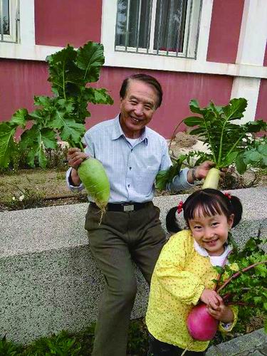 王立鼎家的菜园丰收了。