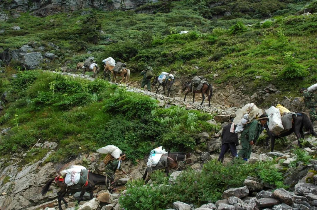 昔日墨脱边防官兵人背马驮运输物资.
