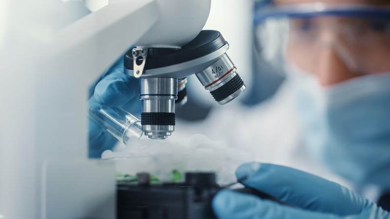 图片来源：视觉中国