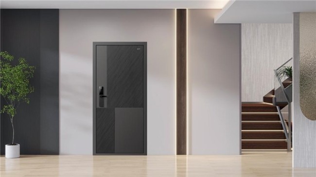 盼盼2025新品入户门 – 维尔德系列