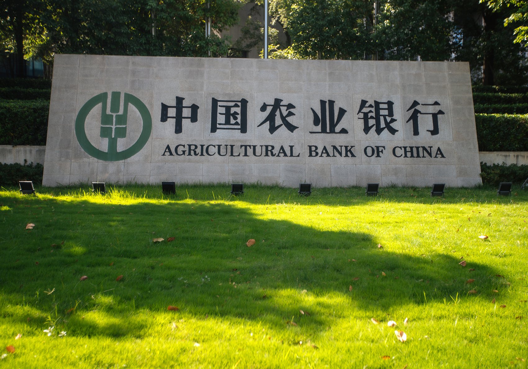 图片着手:逐日经济新闻 杨建 摄