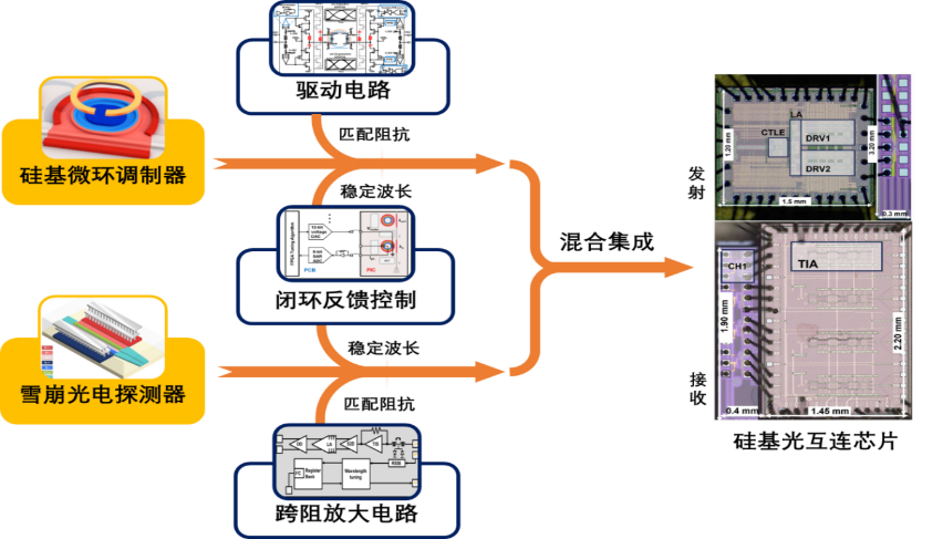                        混合集成硅基光互连芯片。论文作者提供图片