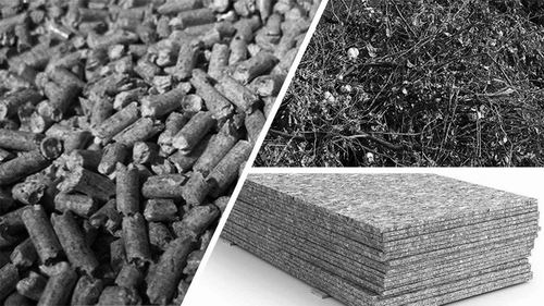 ▲以棉花秸秆原料生产的生物质颗粒和刨花板。
