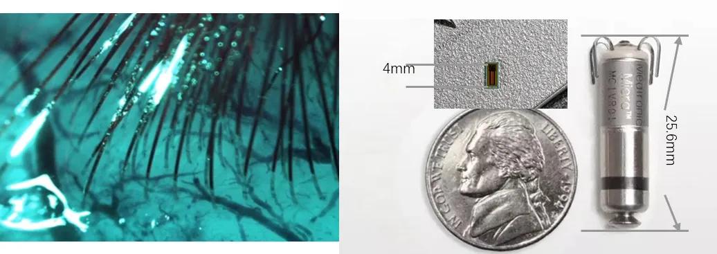 图3. 脑机接口医疗器械测试新难点