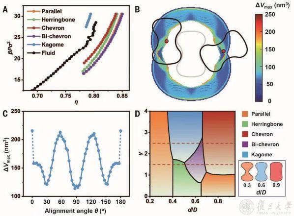 ▲ Kagome 晶格的形成机制研究