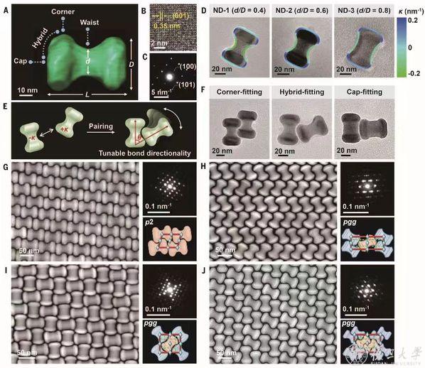 ▲ 通过调控哑铃形纳米颗粒局部曲率设计二维超晶格结构