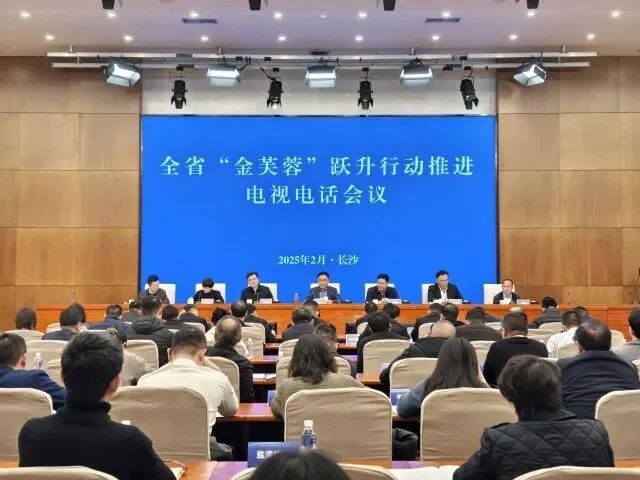 ▲全省“金芙蓉”跃升行动推进电视电话会议主会场