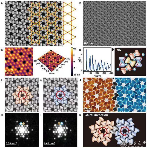 ▲ 由中凹度哑铃形颗粒自组装而成的手性 Kagome 晶格
