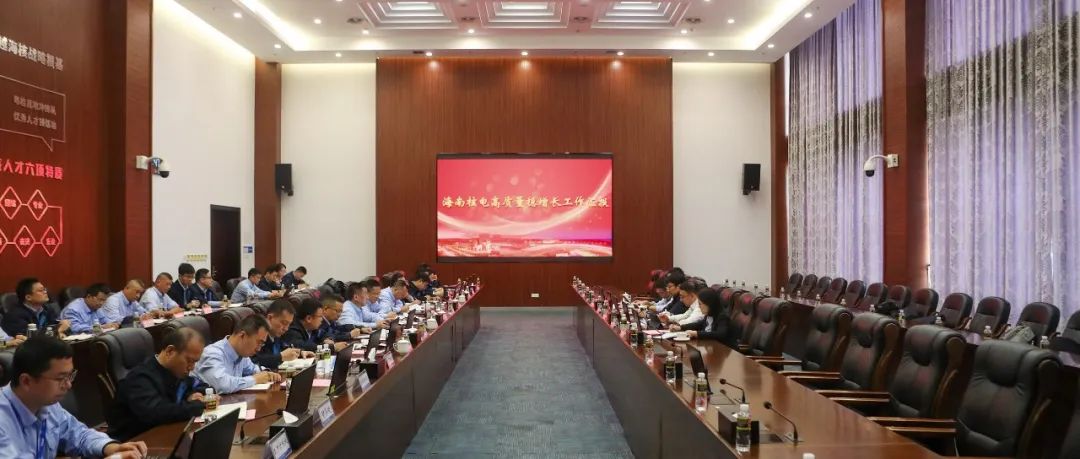 中国核电赴海南核电开展安全检查暨“高质量、稳增长”专题调研